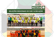 SELEÇÕES REGIONAIS DO PORTO DE SUB 14 EM AÇÃO