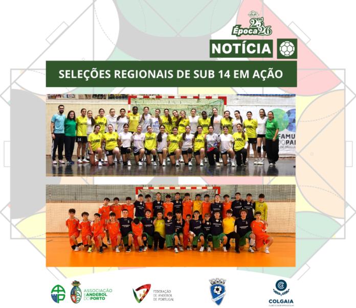 publicações web (32)